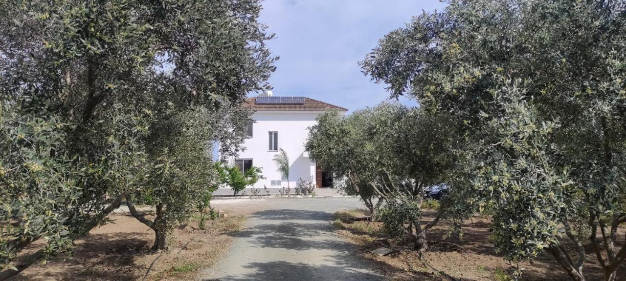 Kiti Village Villa, Cyprus, Salt-Water Pool, 6 Bedrooms, Larnaca Luaran gambar