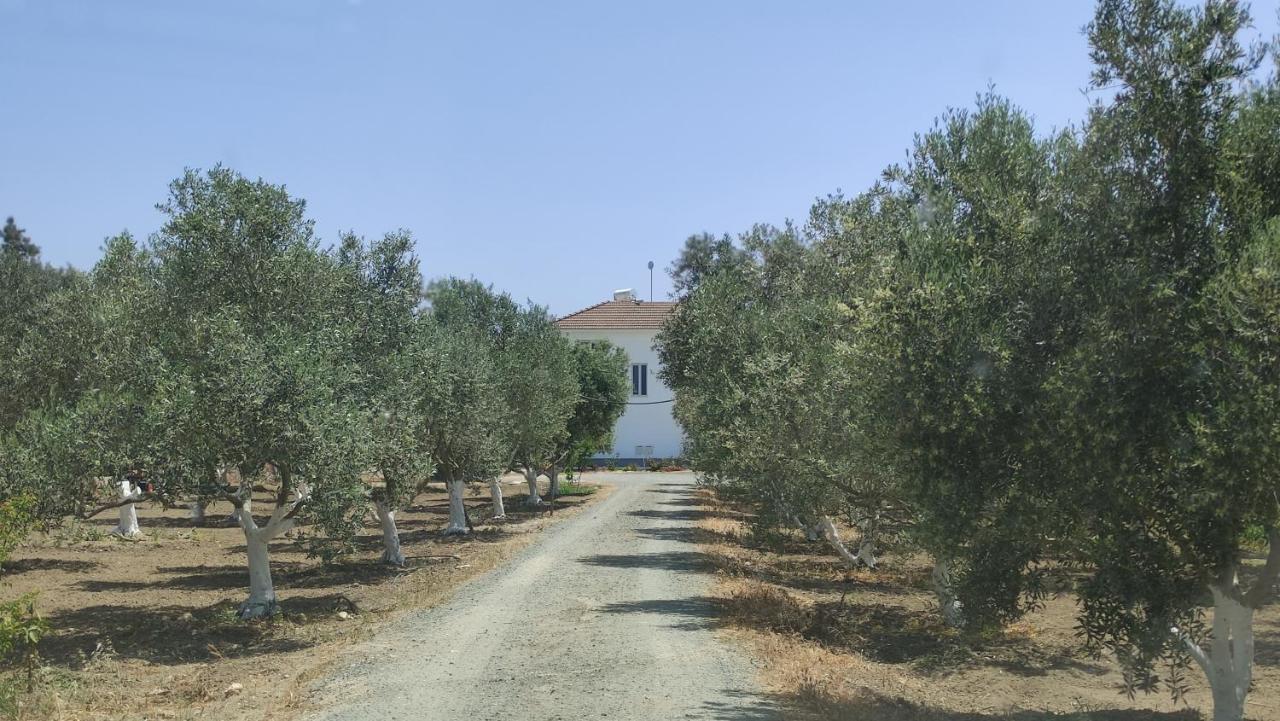 Kiti Village Villa, Cyprus, Salt-Water Pool, 6 Bedrooms, Larnaca Luaran gambar