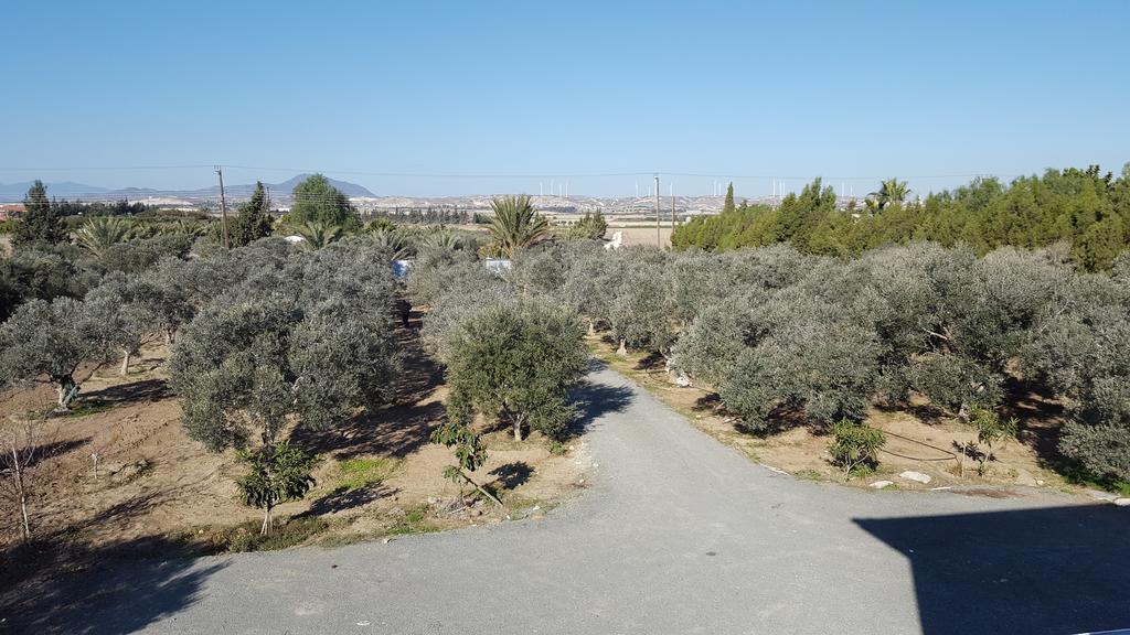 Kiti Village Villa, Cyprus, Salt-Water Pool, 6 Bedrooms, Larnaca Luaran gambar